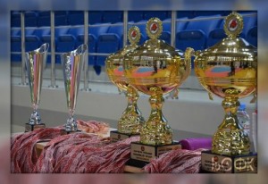 11 февраля 2018 г. в г. Липецк всероссийские соревнования по каратэ «Кубок Петра Великого»