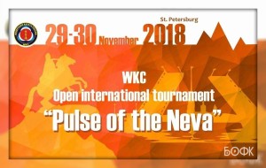 С 29 по 30 ноября 2018 года проходил Открытый Международный турнир по каратэ WKC «Пульс Невы».
