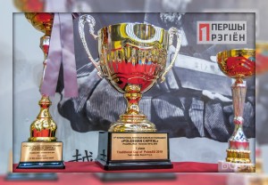 Международный турнир по шотокан каратэ-до «Полесская столица»